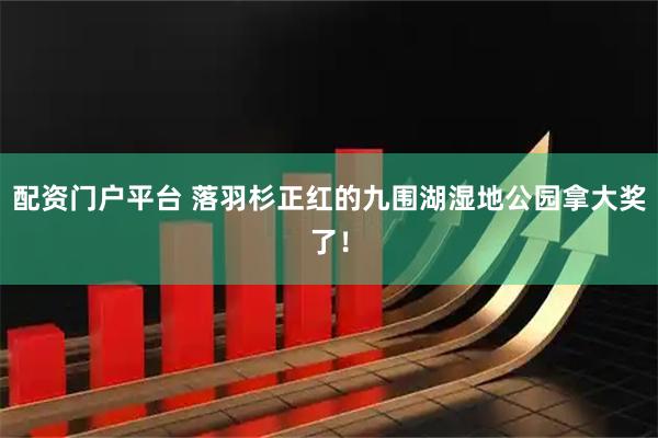 配资门户平台 落羽杉正红的九围湖湿地公园拿大奖了！