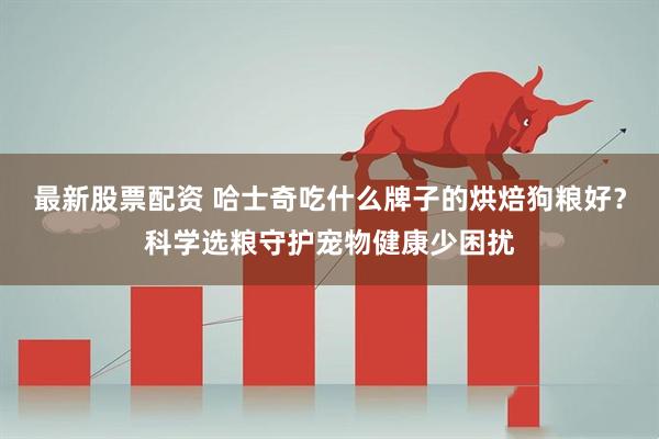 最新股票配资 哈士奇吃什么牌子的烘焙狗粮好？科学选粮守护宠物健康少困扰